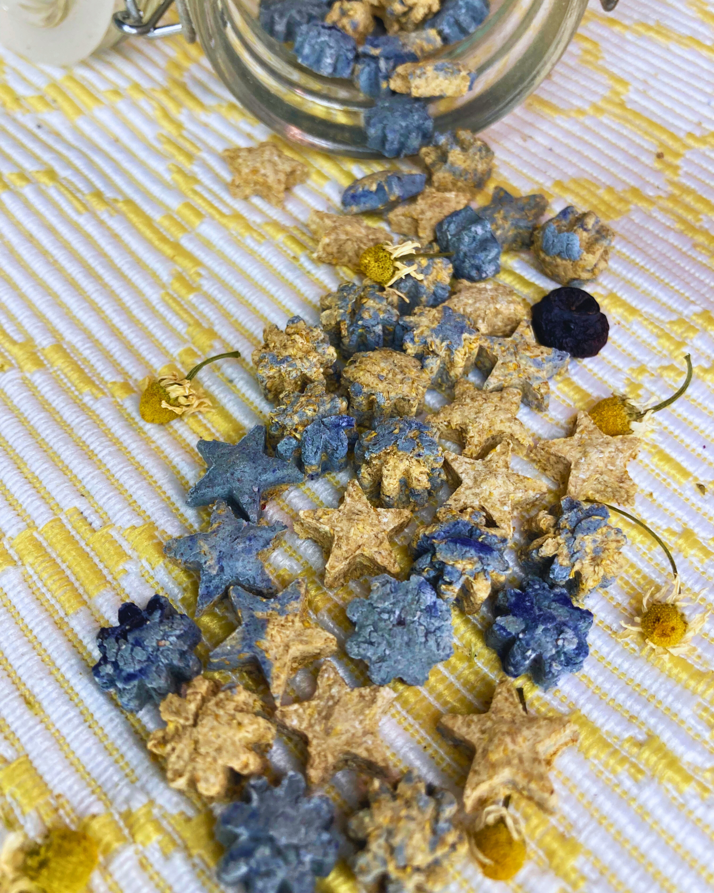 Starry Night Oat Bites - Hippity Hop Pet Shop