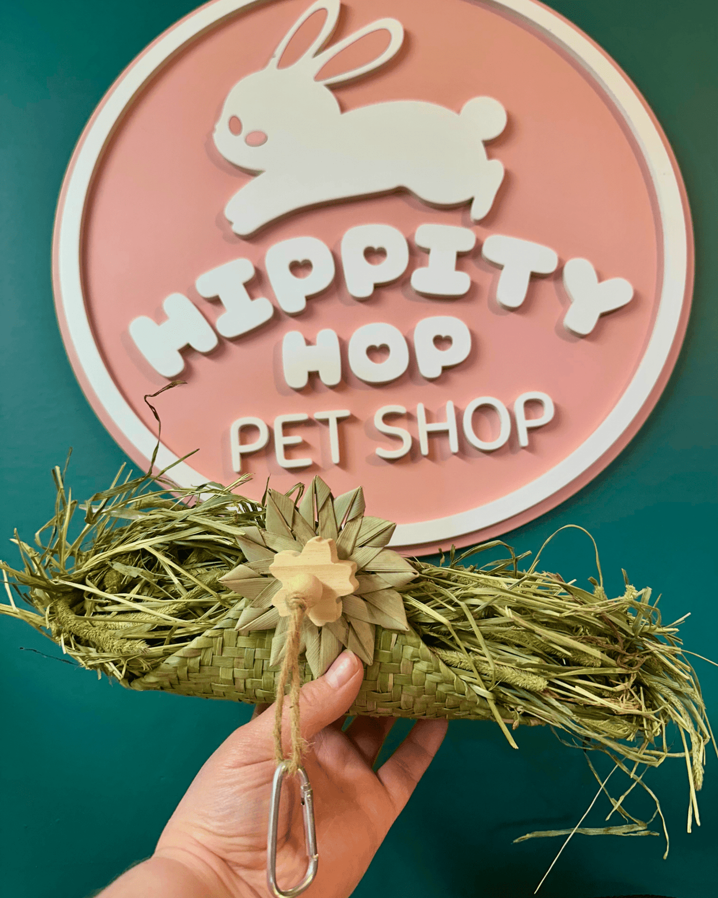 Hanging Hay Taco - Hippity Hop Pet Shop