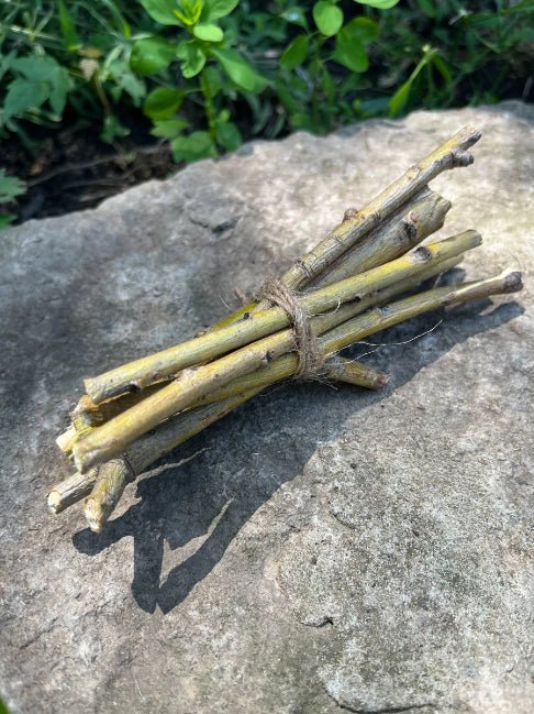 Willow Branch Bundle for Rabbits - Hippity Hop Pet Shop