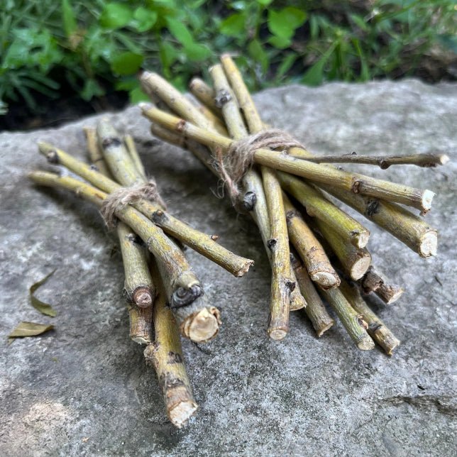 Willow Branch Bundle for Rabbits - Hippity Hop Pet Shop