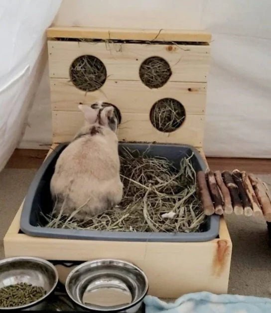 Hay Feeder & Litter Box - Hippity Hop Pet Shop