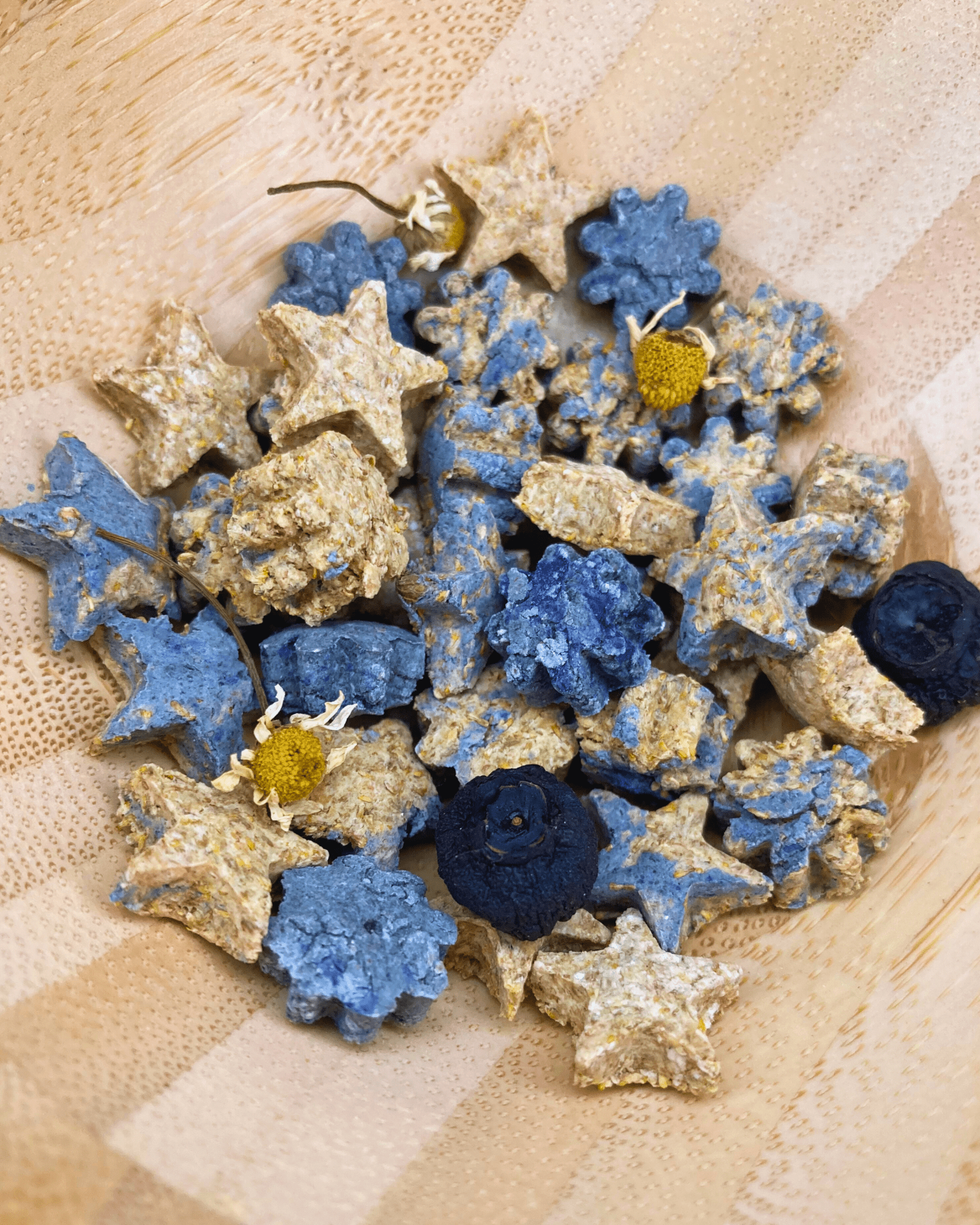Starry Night Oat Bites - Hippity Hop Pet Shop