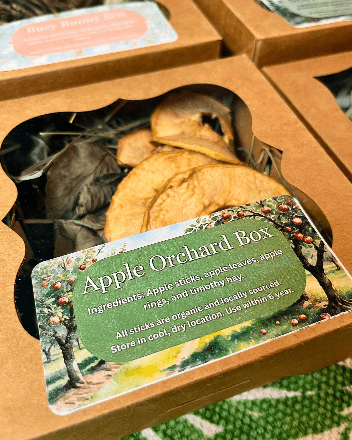 Apple Orchard Forage Box - Hippity Hop Pet Shop