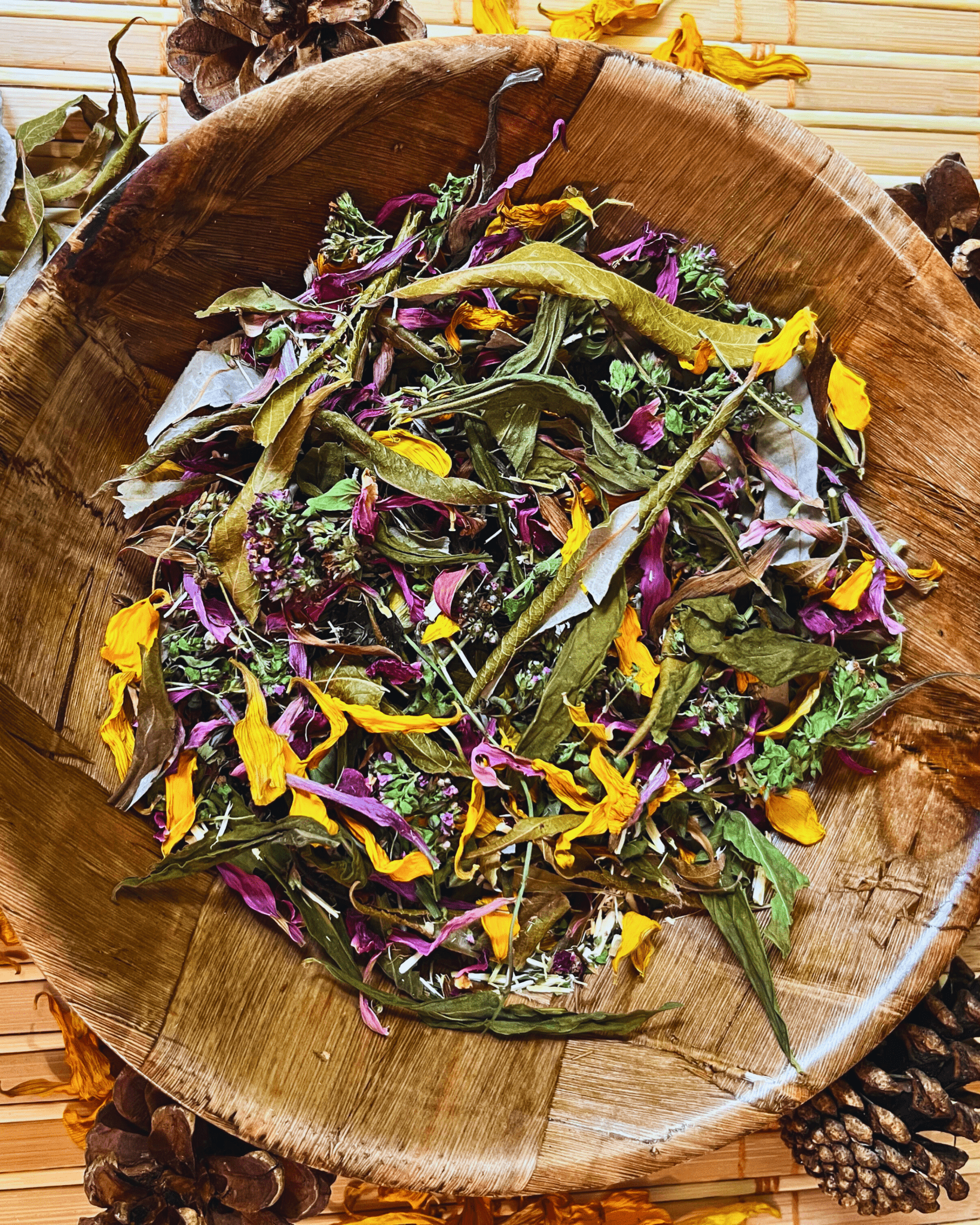 Autumn's Glow Forage Blend - Hippity Hop Pet Shop