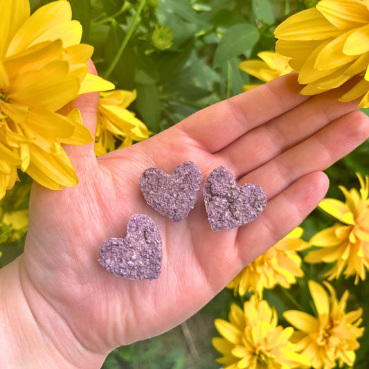 Blueberry Oaty Hearts for Small Animals - Hippity Hop Pet Shop