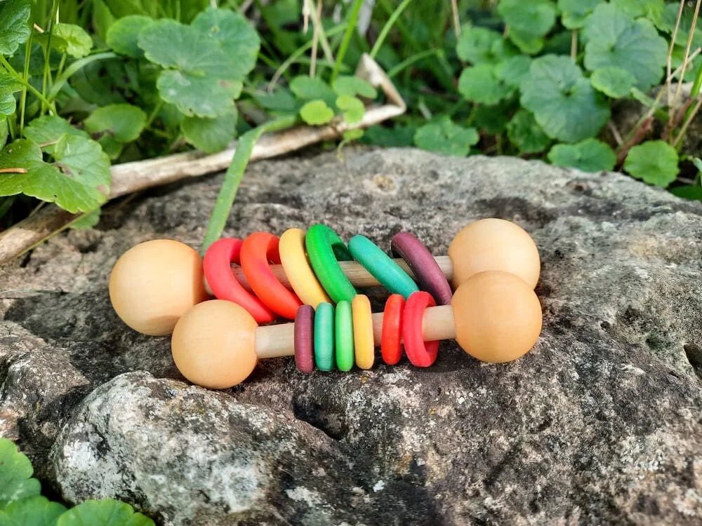 Rainbow Shaker Toy for Small Animals.