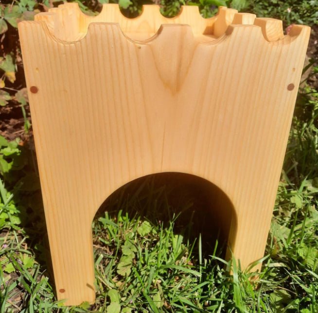 Rabbit Castle with Bridge.