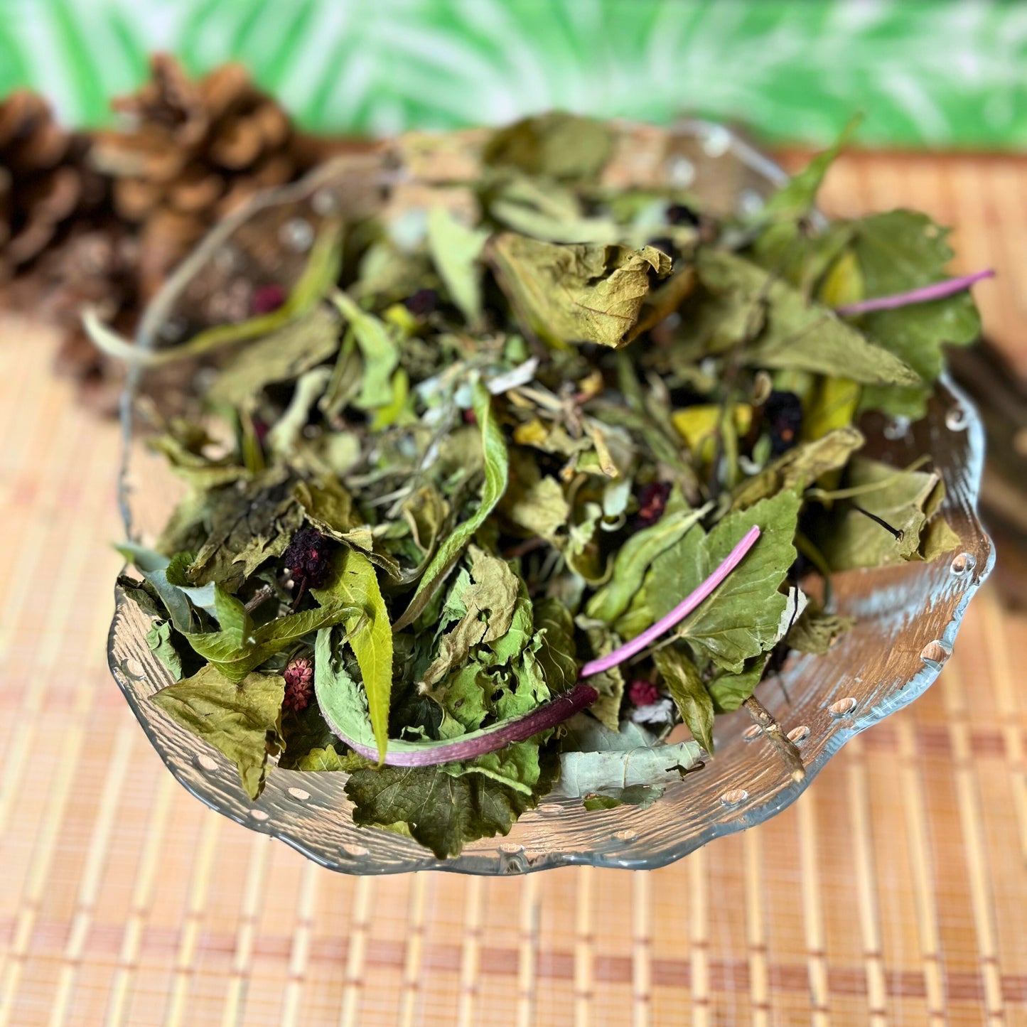Taste of the Forest Forage Mix - Hippity Hop Pet Shop