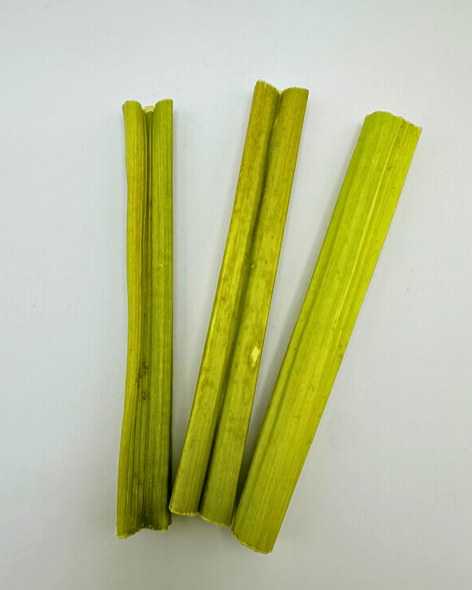 Natural Papaya Stems - Hippity Hop Pet Shop