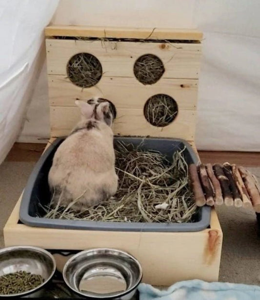 Four Hole Hay Feeder and Litter Box - Hippity Hop Pet Shop