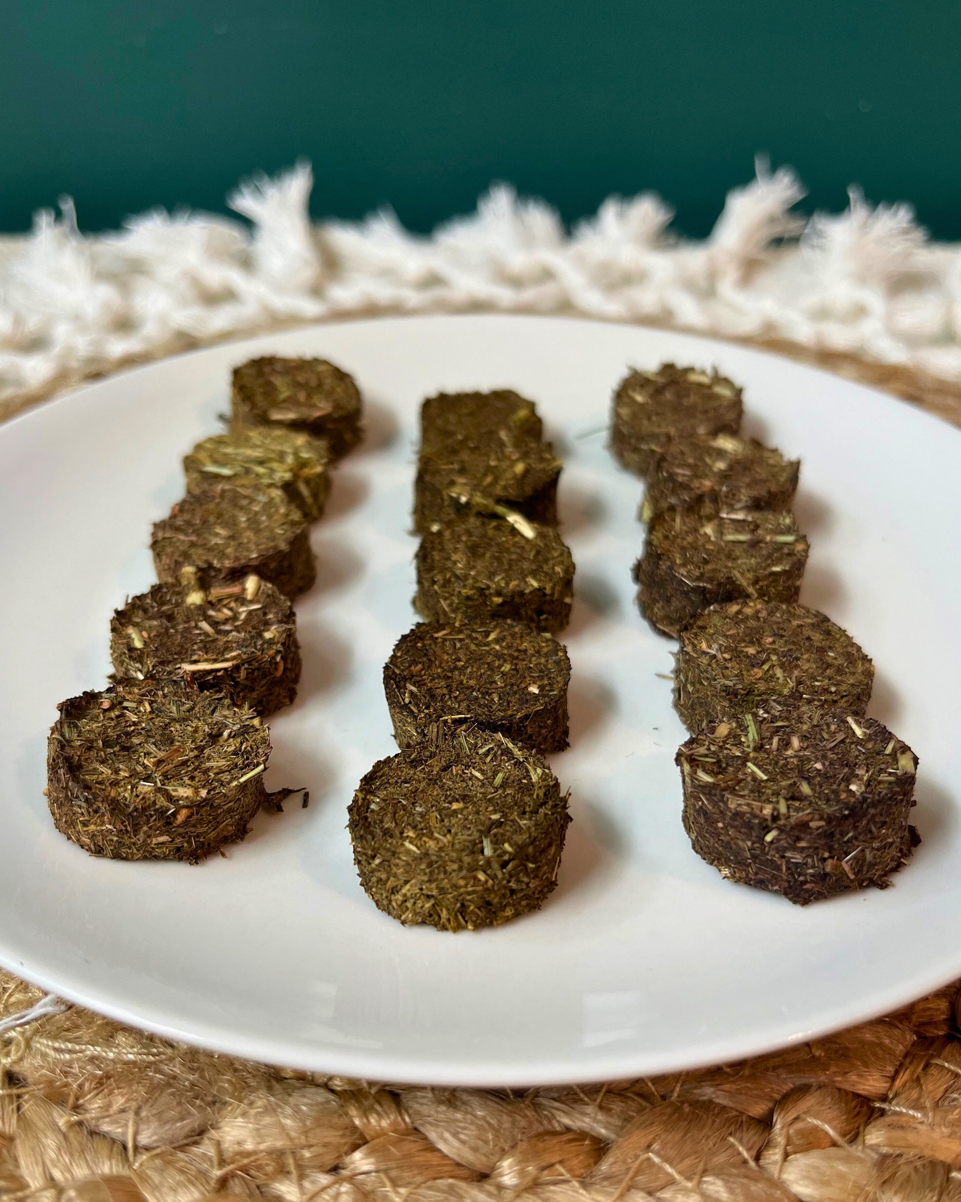 Health Bites: Jumpin' Joints - Hippity Hop Pet Shop