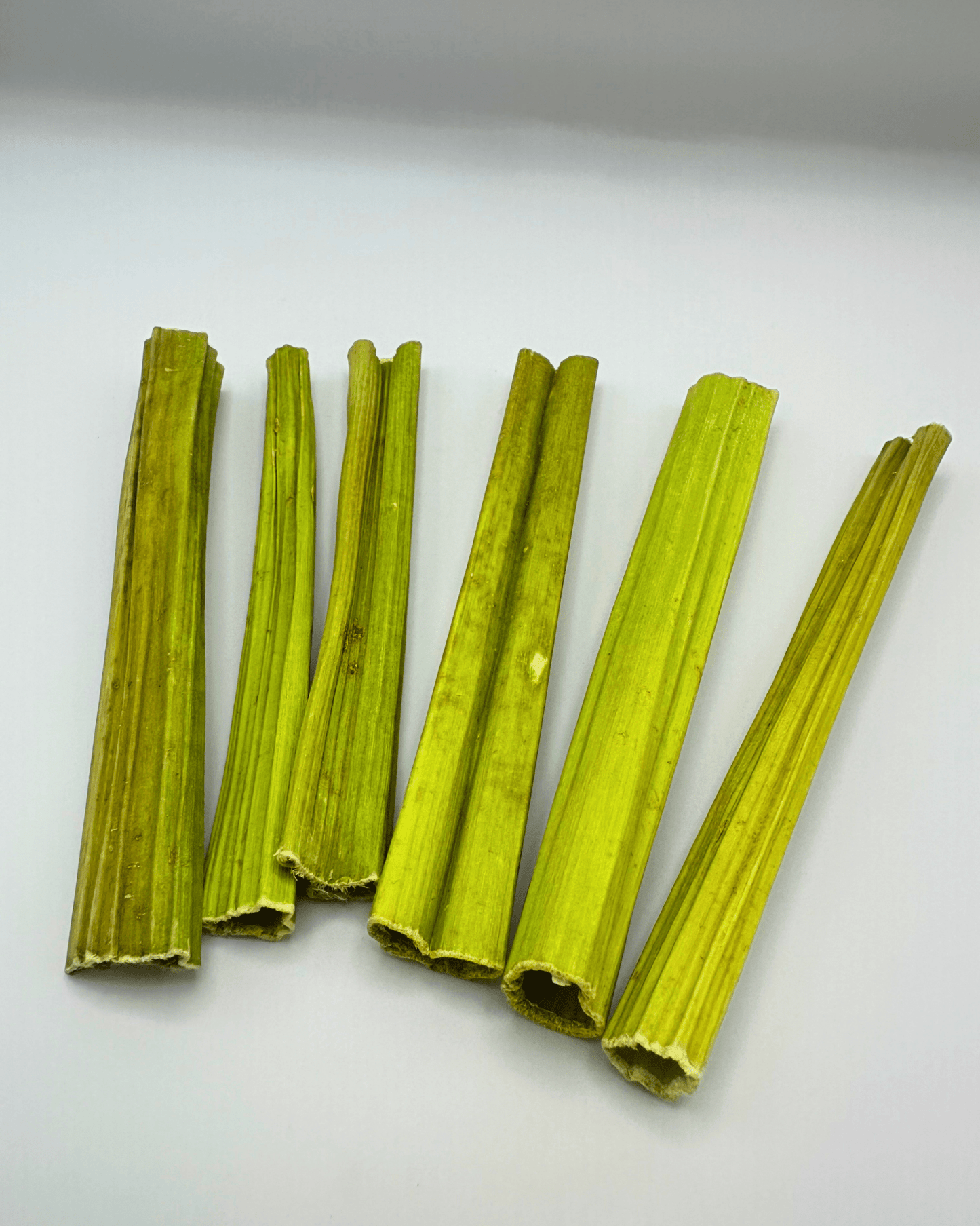 Natural Papaya Stems - Hippity Hop Pet Shop