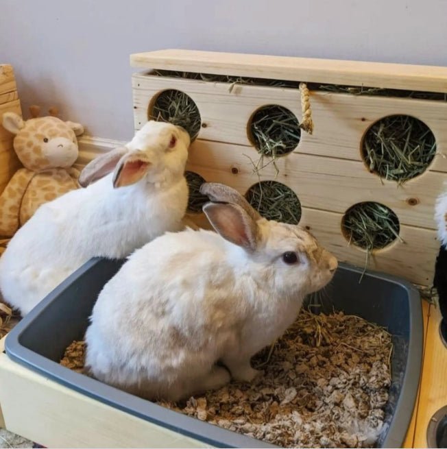 Six Hole Rabbit Hay Feeder & Litter Pan Combo - Hippity Hop Pet Shop