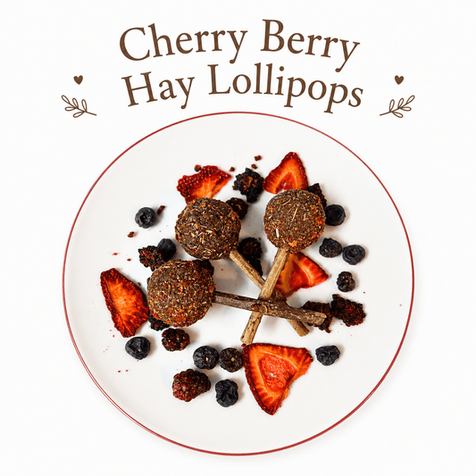 Cherry Berry Hay Lollipop - Hippity Hop Pet Shop