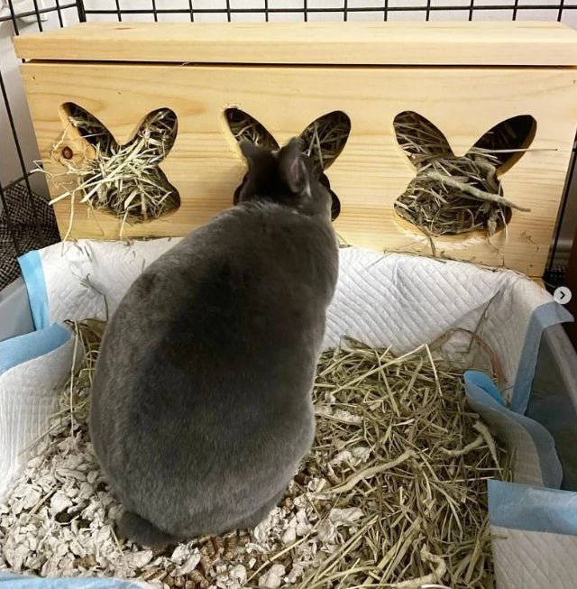 "Triple Bunny Head" Hay Feeder & Litter Box - Hippity Hop Pet Shop
