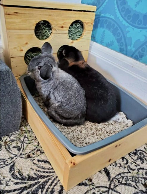 Four Hole Hay Feeder and Litter Box - Hippity Hop Pet Shop