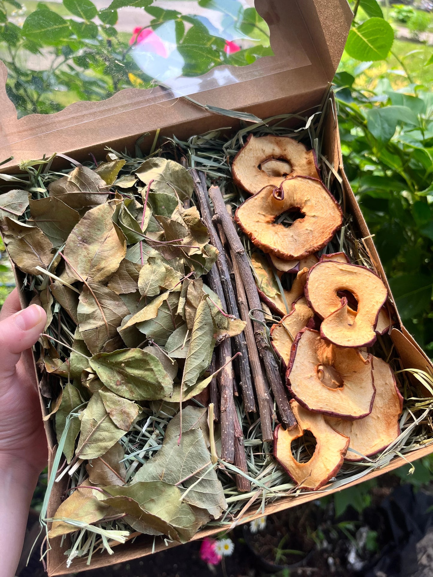 Apple Orchard Forage Box - Hippity Hop Pet Shop