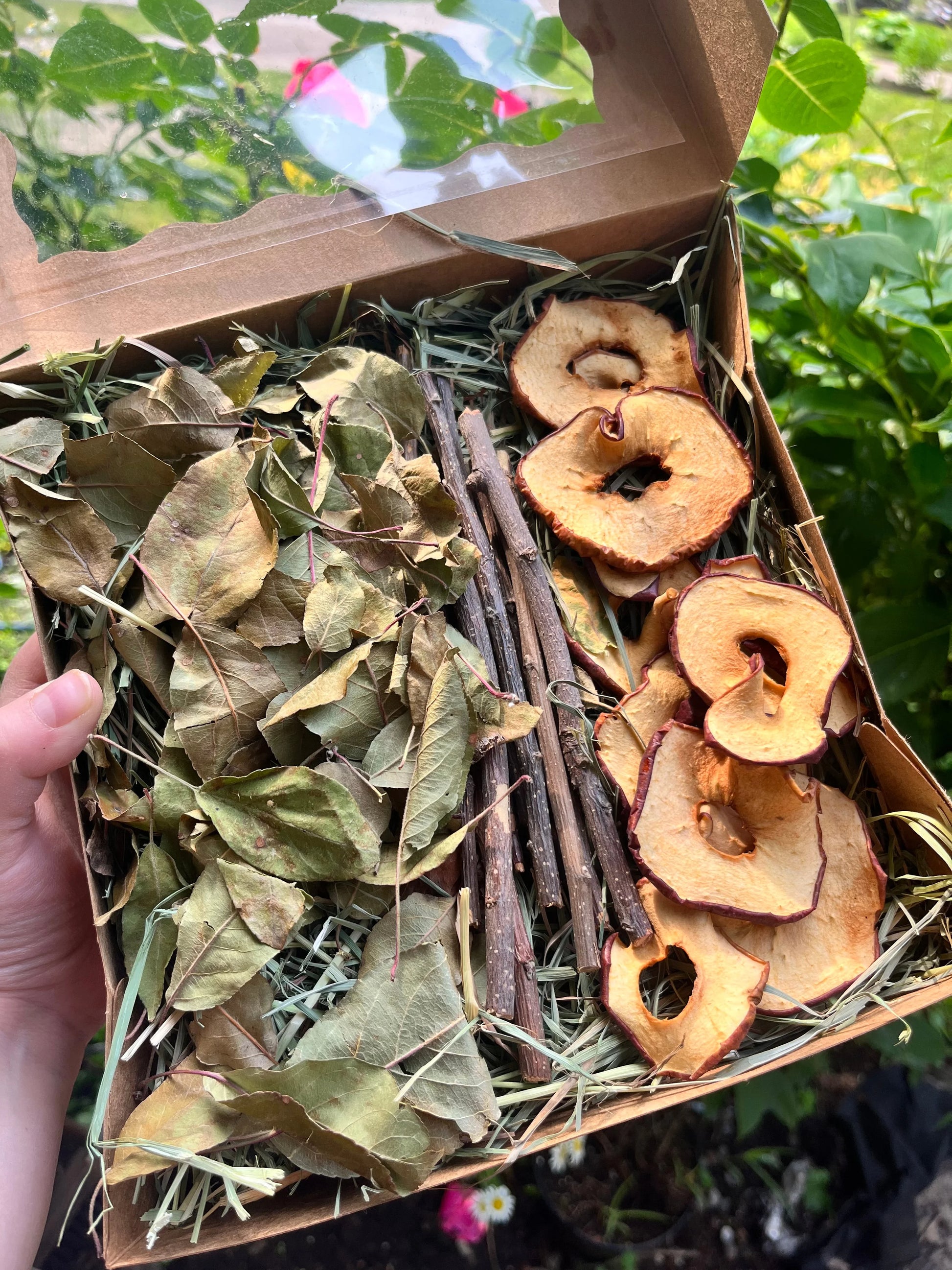 Apple Orchard Forage Box - Hippity Hop Pet Shop