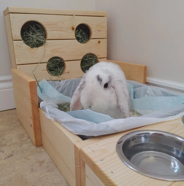 Four Hole Hay Feeder and Litter Box - Hippity Hop Pet Shop