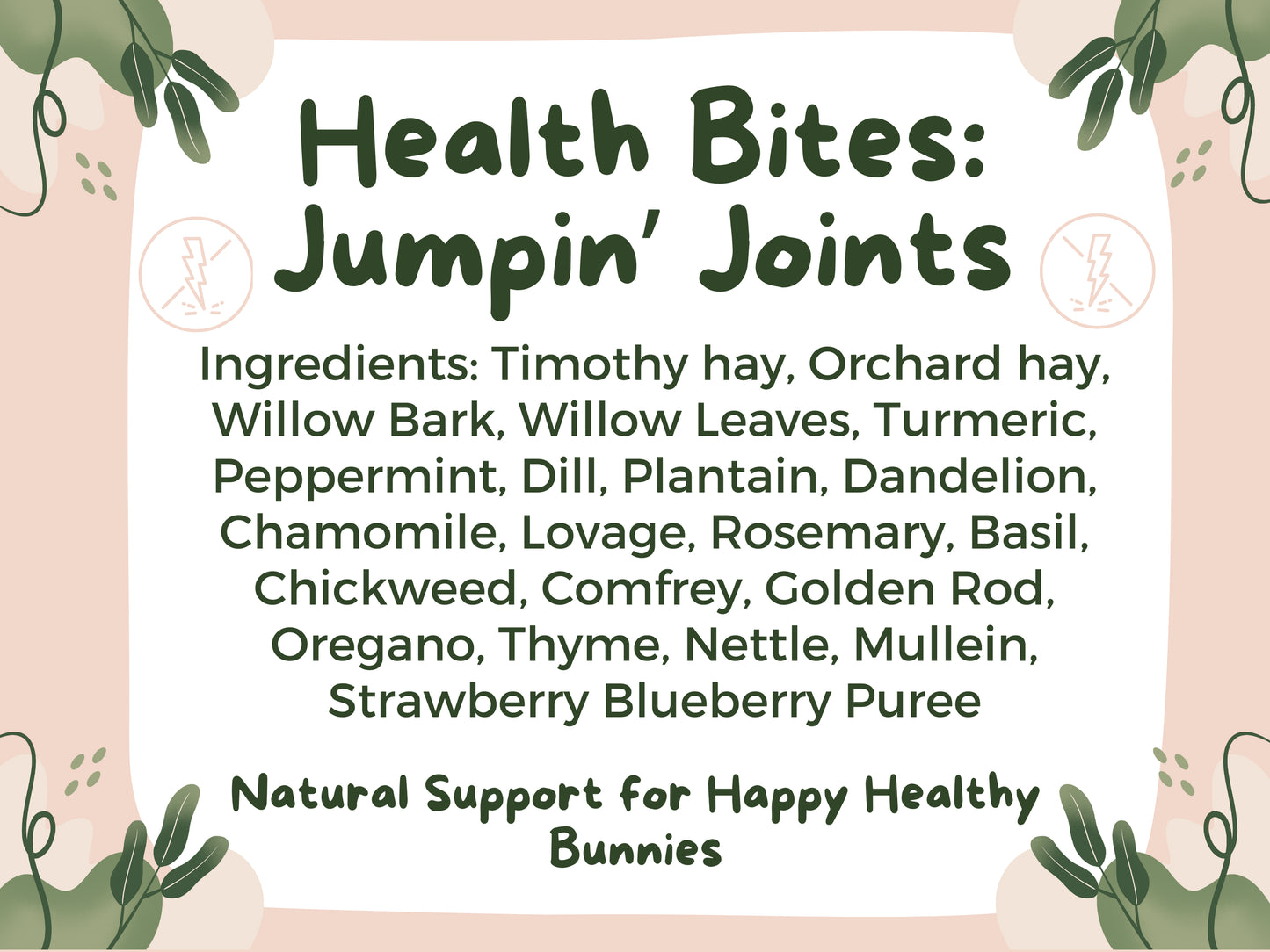 Health Bites: Jumpin' Joints - Hippity Hop Pet Shop