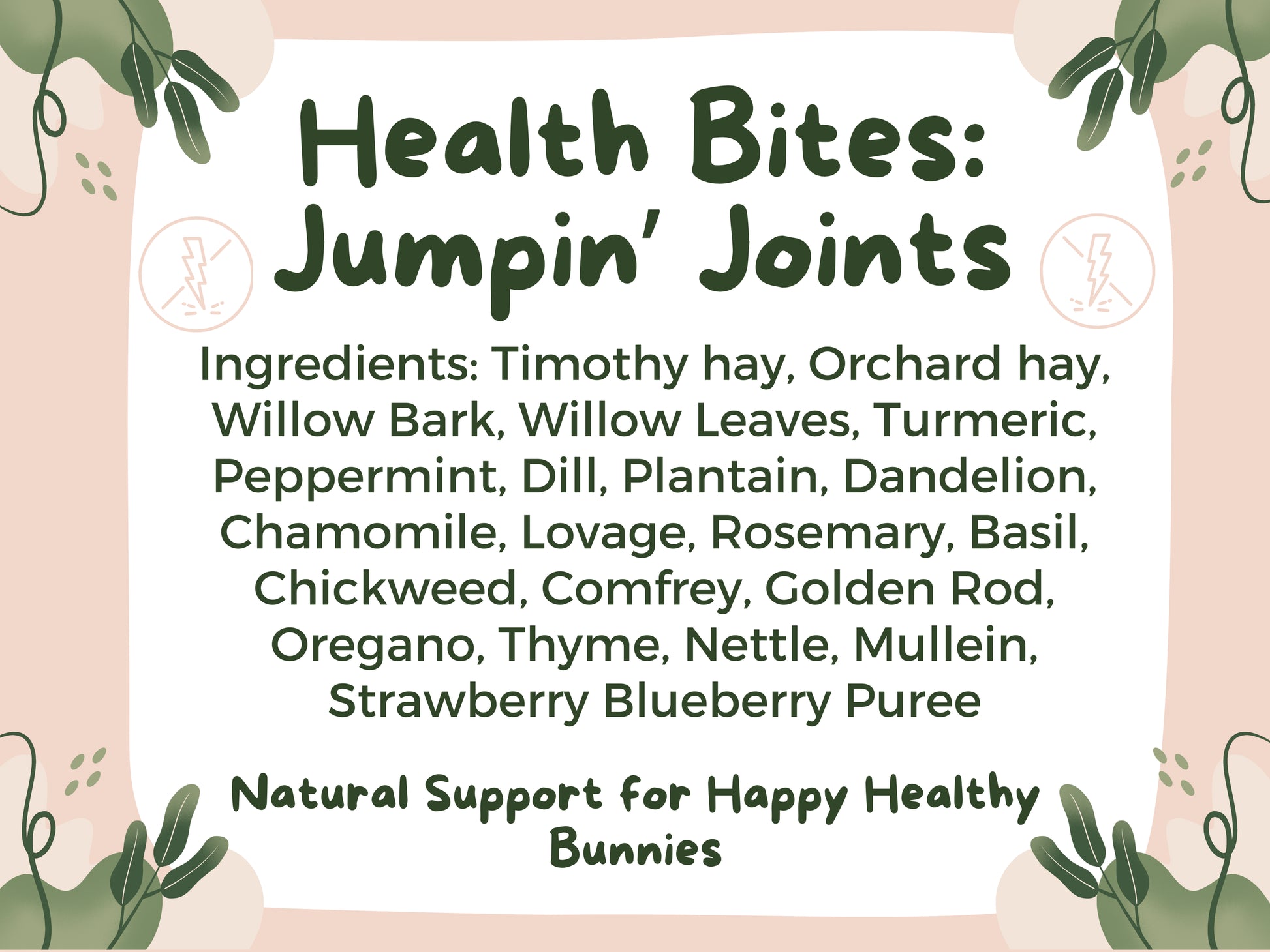Health Bites: Jumpin' Joints - Hippity Hop Pet Shop