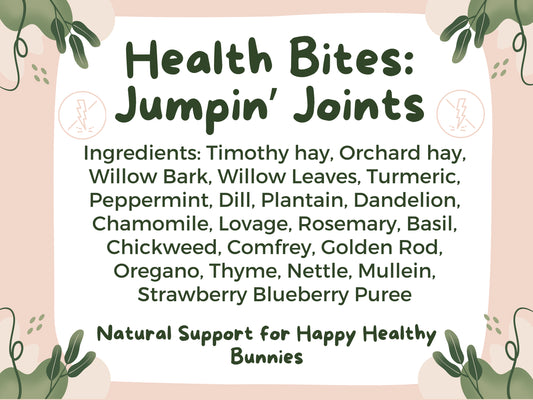 Health Bites: Jumpin' Joints - Hippity Hop Pet Shop