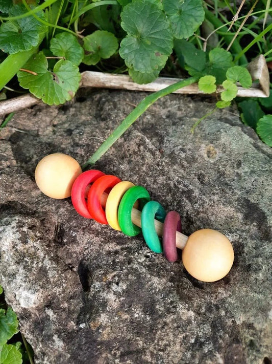Rainbow Shaker Toy for Small Animals.