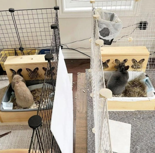 "Triple Bunny Head" Hay Feeder & Litter Box - Hippity Hop Pet Shop