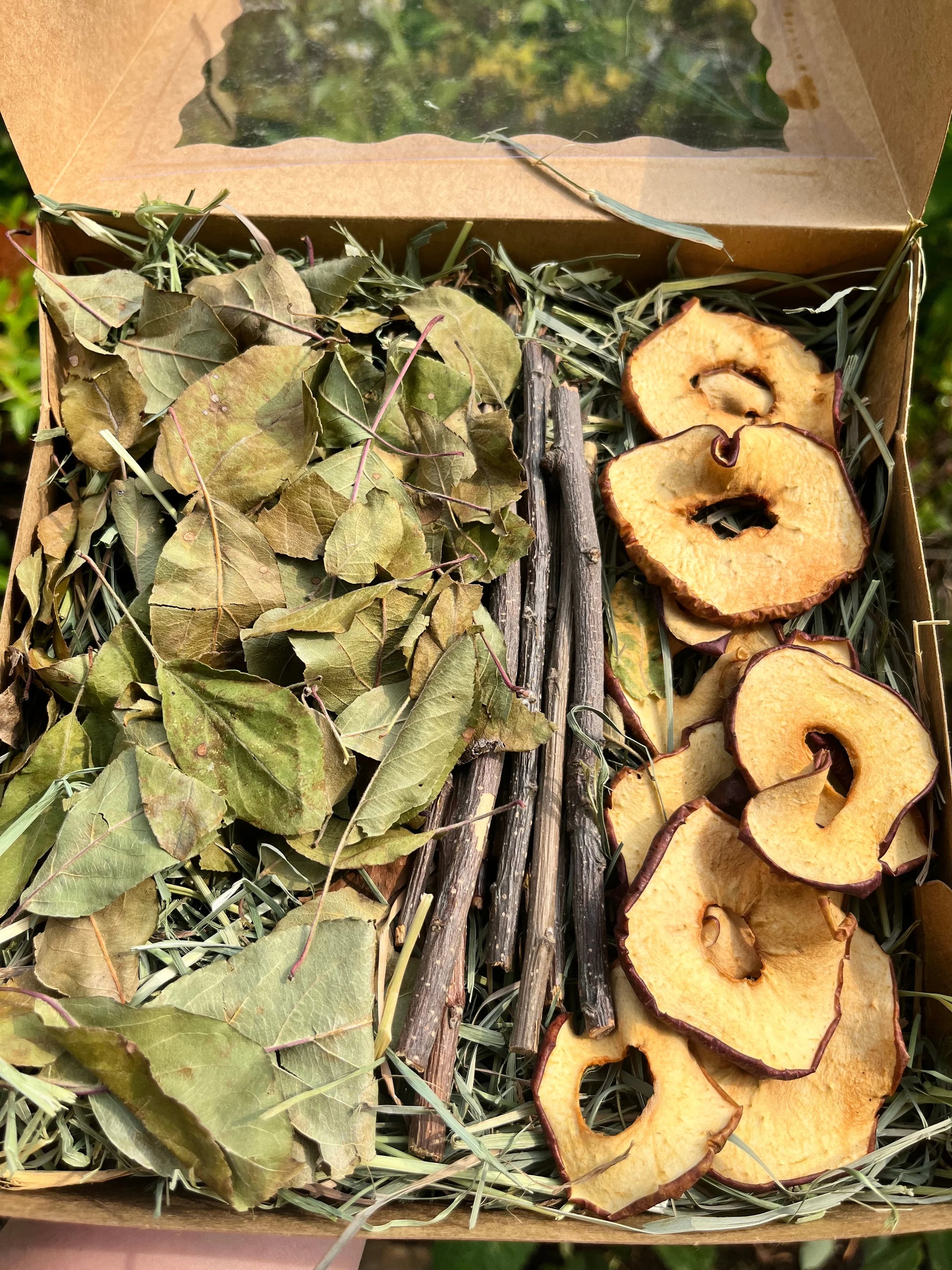 Apple Orchard Forage Box - Hippity Hop Pet Shop