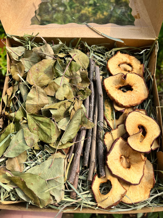 Apple Orchard Forage Box - Hippity Hop Pet Shop