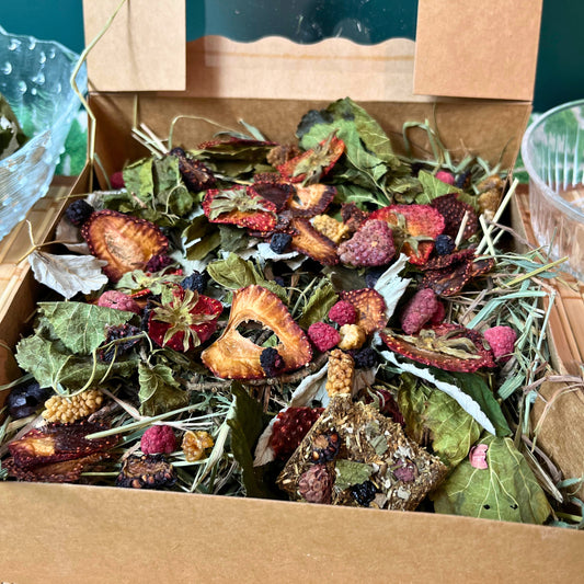 Very Berry Small Animal Forage Box.