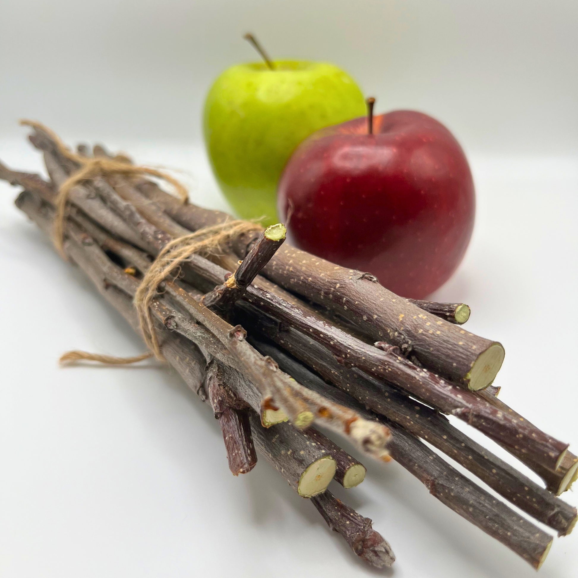 Apple Branch Bundles - Hippity Hop Pet Shop