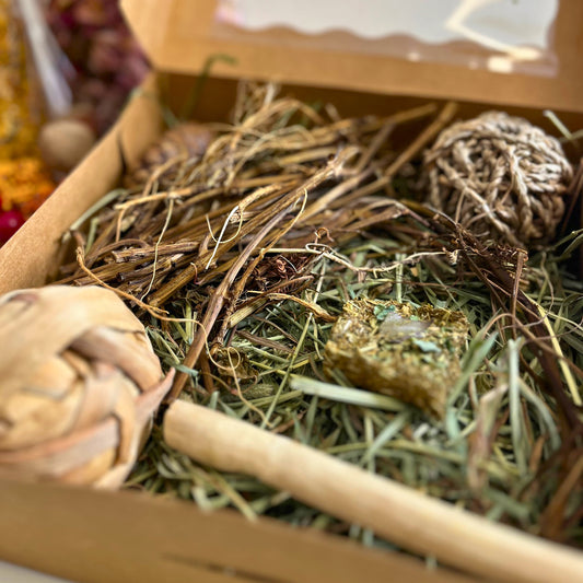 The Ultimate Busy Box for Rabbit Enrichment.