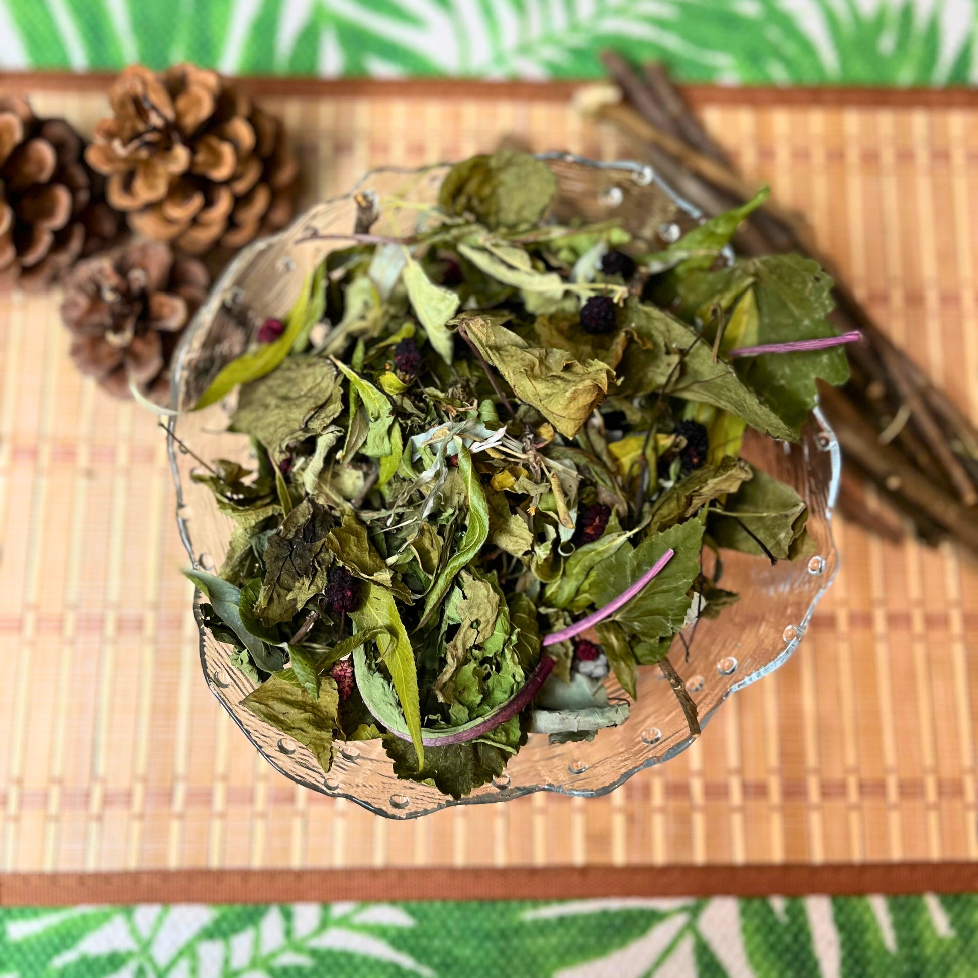 Taste of the Forest Forage Mix - Hippity Hop Pet Shop