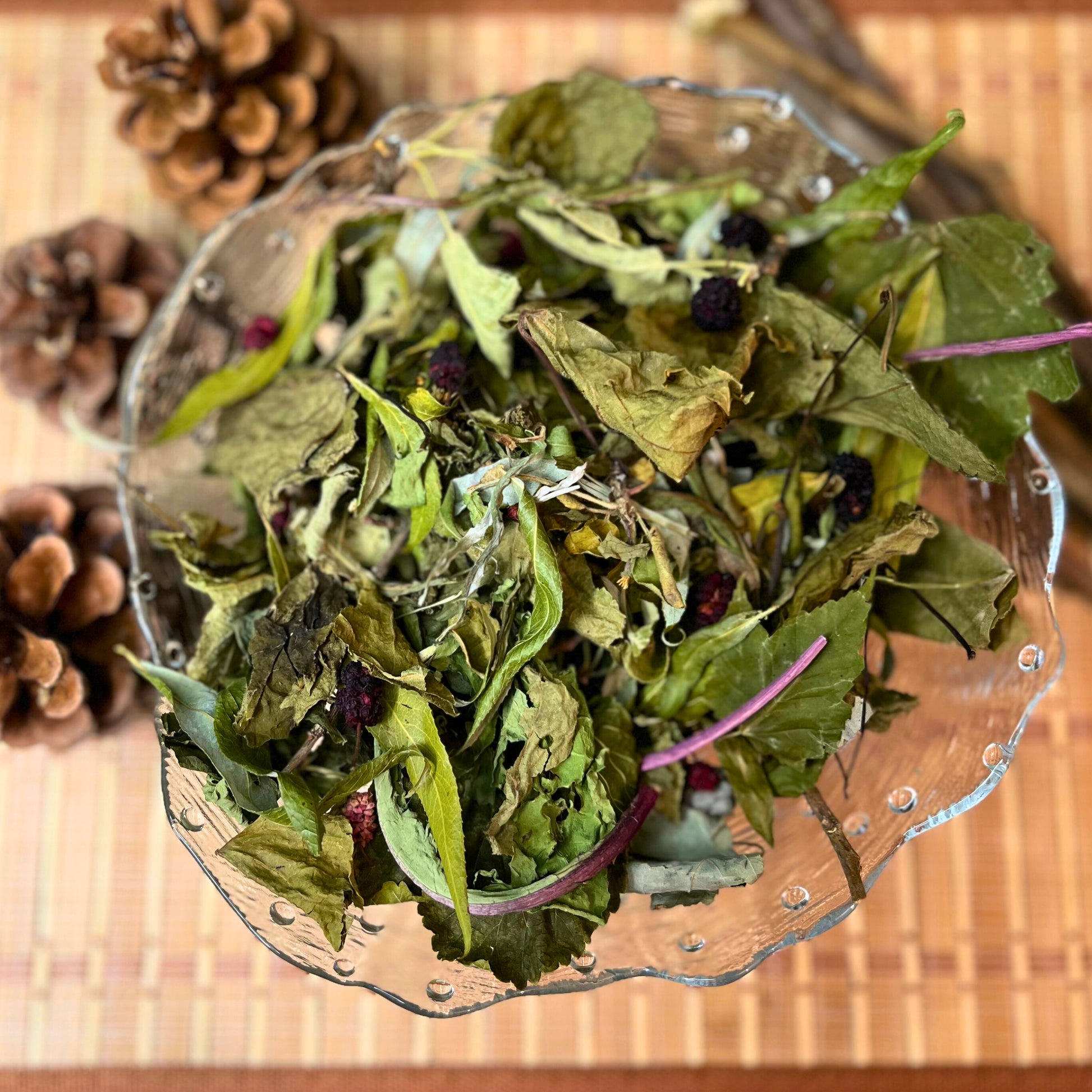 Taste of the Forest Forage Mix - Hippity Hop Pet Shop