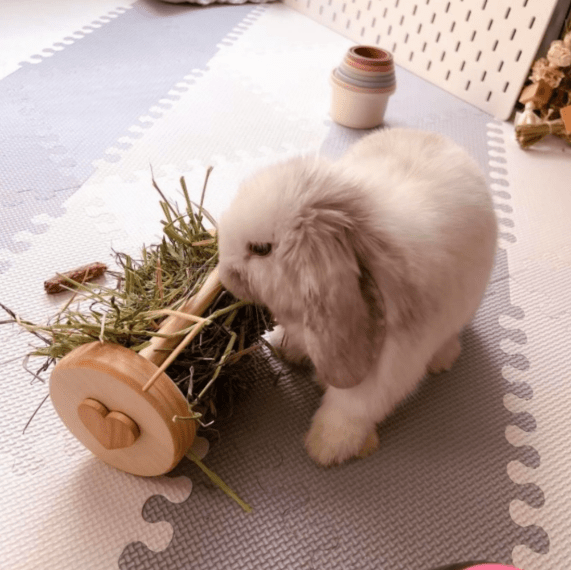 Small Animal Hay Rollers - Hippity Hop Pet Shop