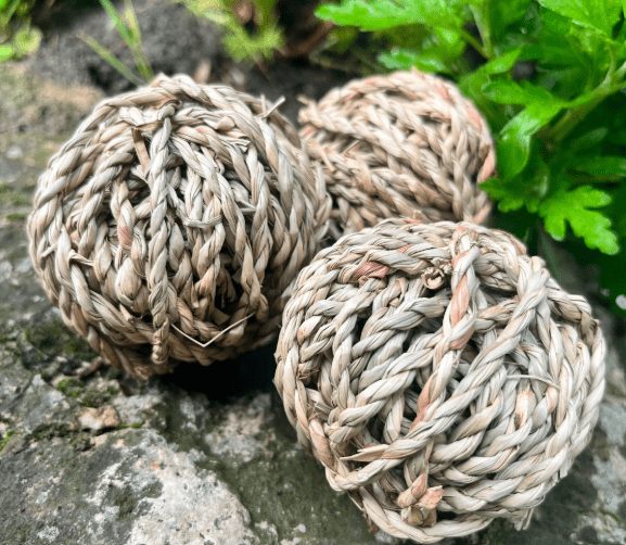 Sea Grass Ball for Rabbits & Guinea Pigs - Hippity Hop Pet Shop