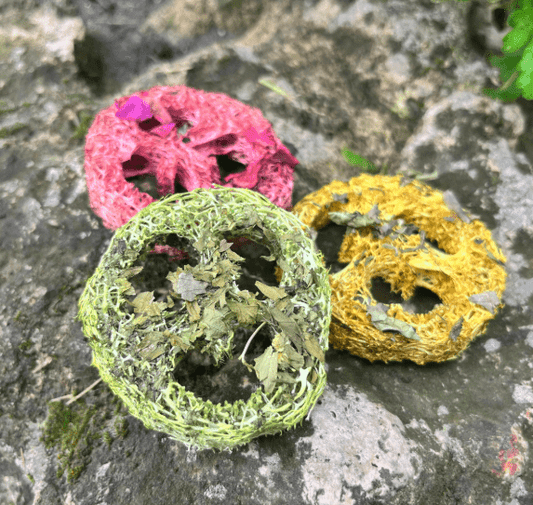 Loofah Chew Variety Pack - Hippity Hop Pet Shop