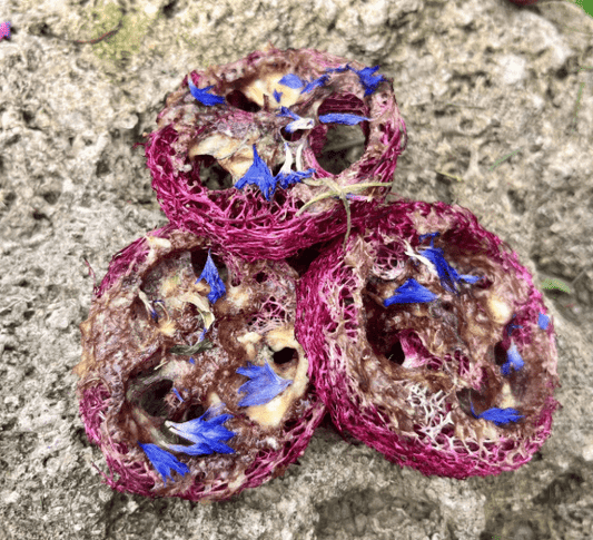 Hibiscus Cornflower Banana Flavoured Loofah Chew - Hippity Hop Pet Shop