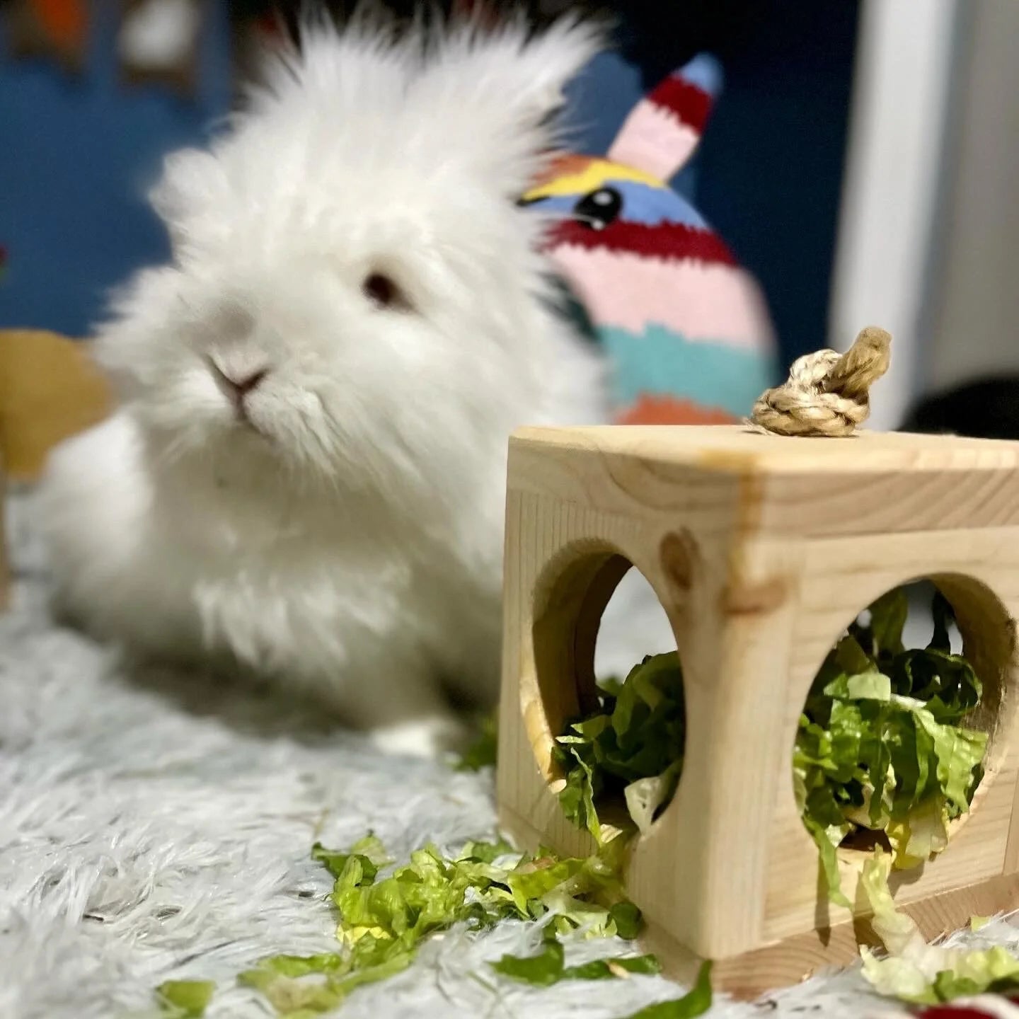 Small Animal Hay Cube.