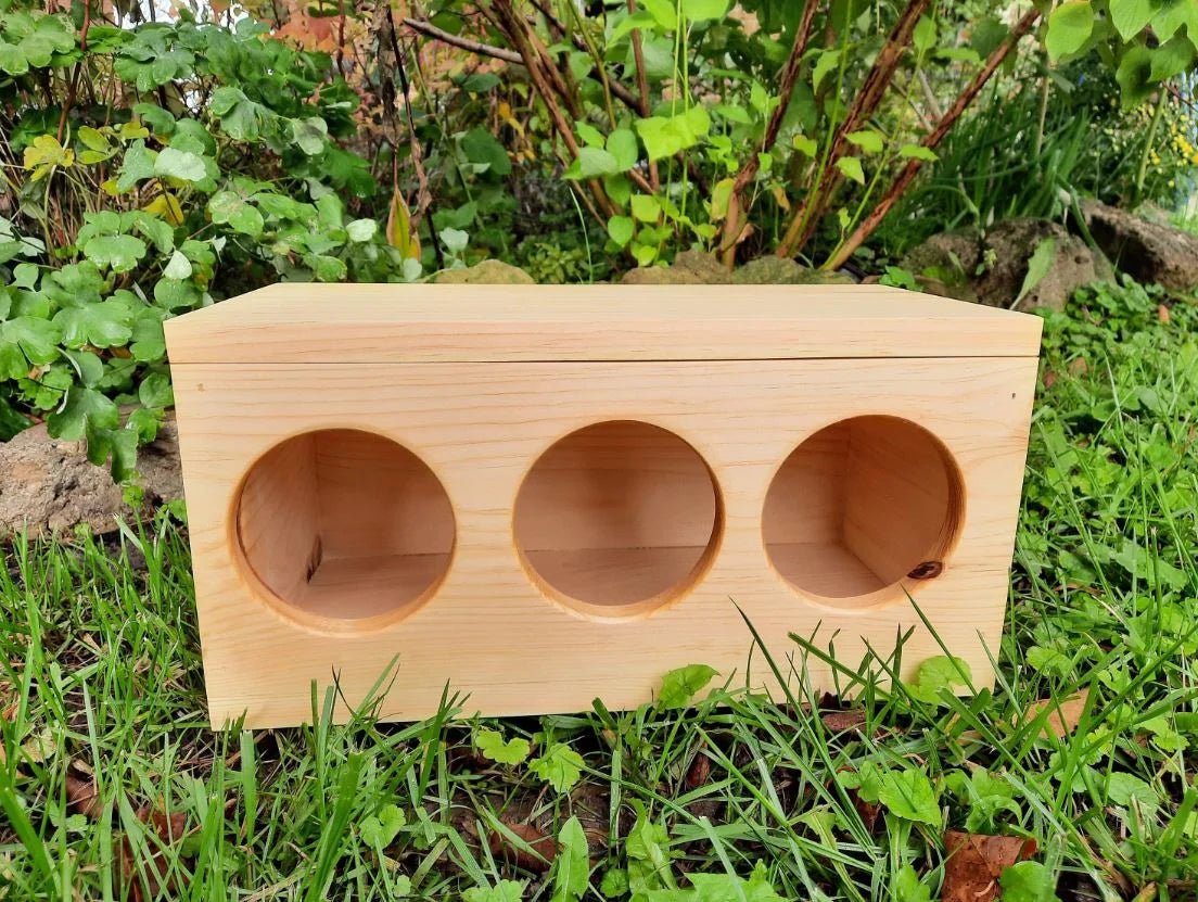 A closer look at Custom Guinea Pig Hay Delivery Gift Boxes