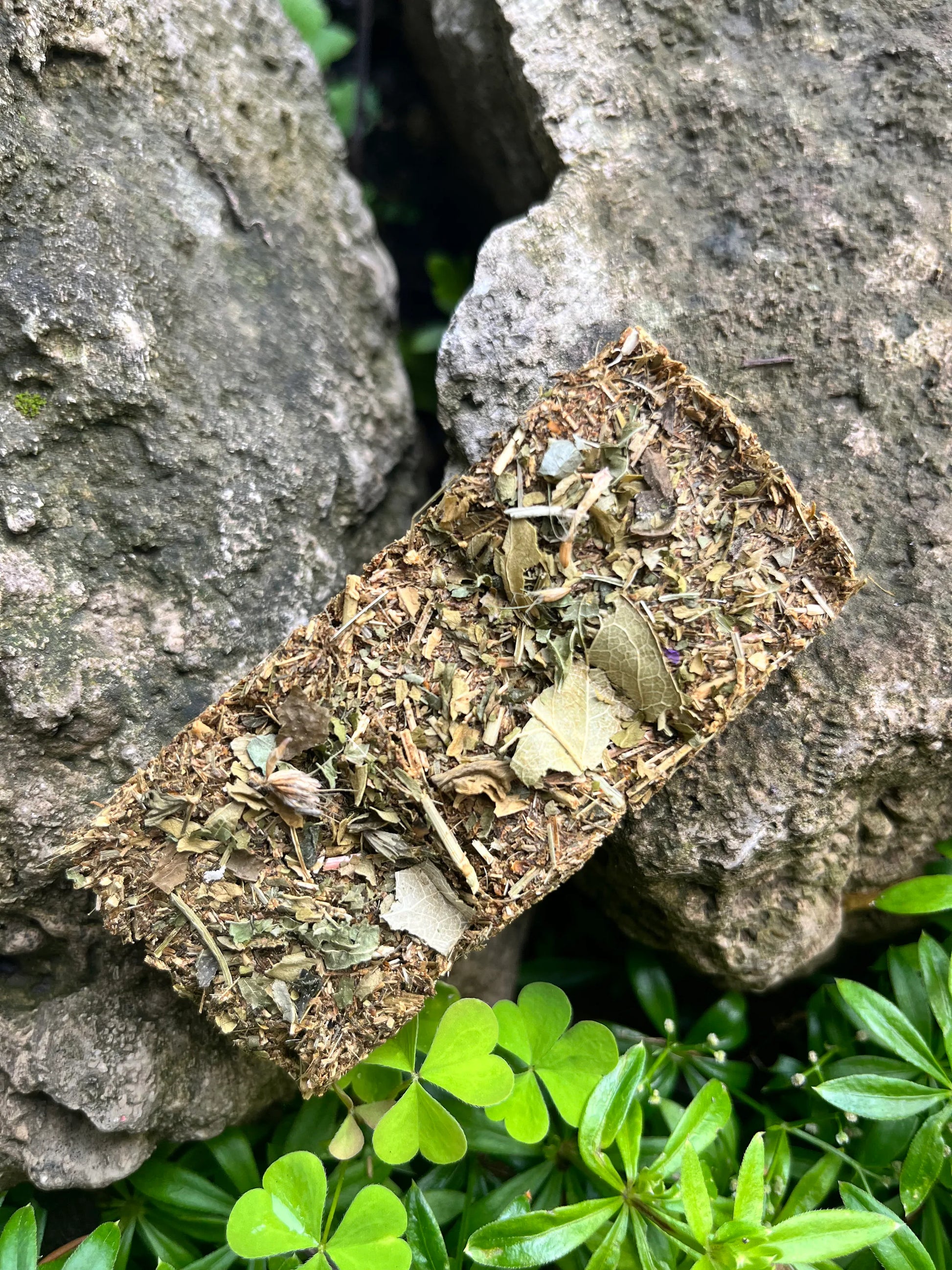Hay Forage Bars - Hippity Hop Pet Shop