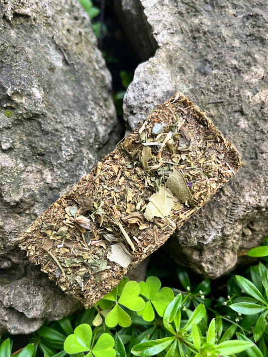 Hay Forage Bars - Hippity Hop Pet Shop
