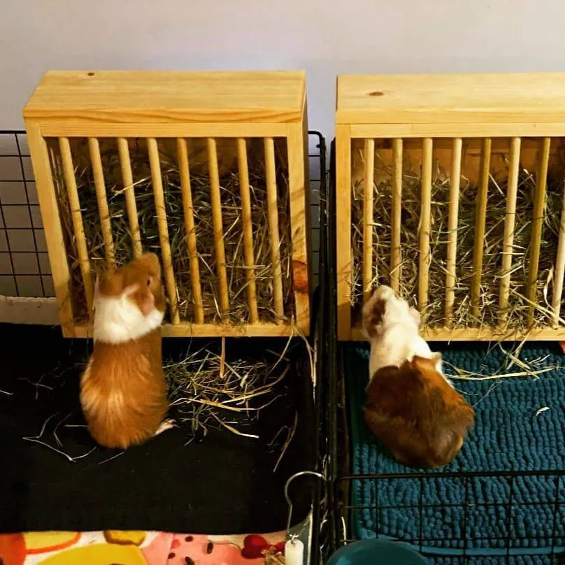 Mounted Hay Feeder for Rabbits & Guinea Pigs - Hippity Hop Pet Shop