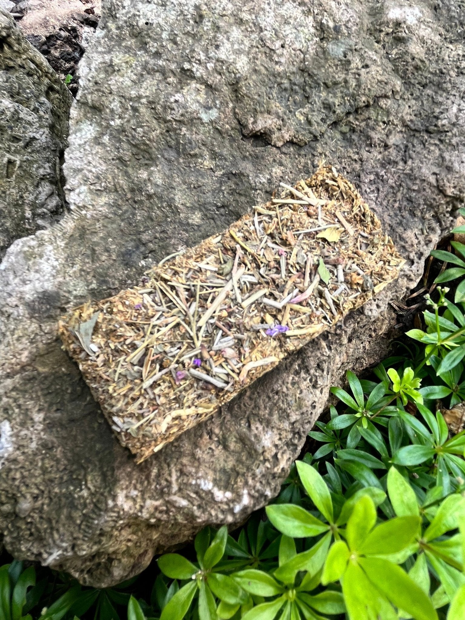 Hay Forage Bars - Hippity Hop Pet Shop