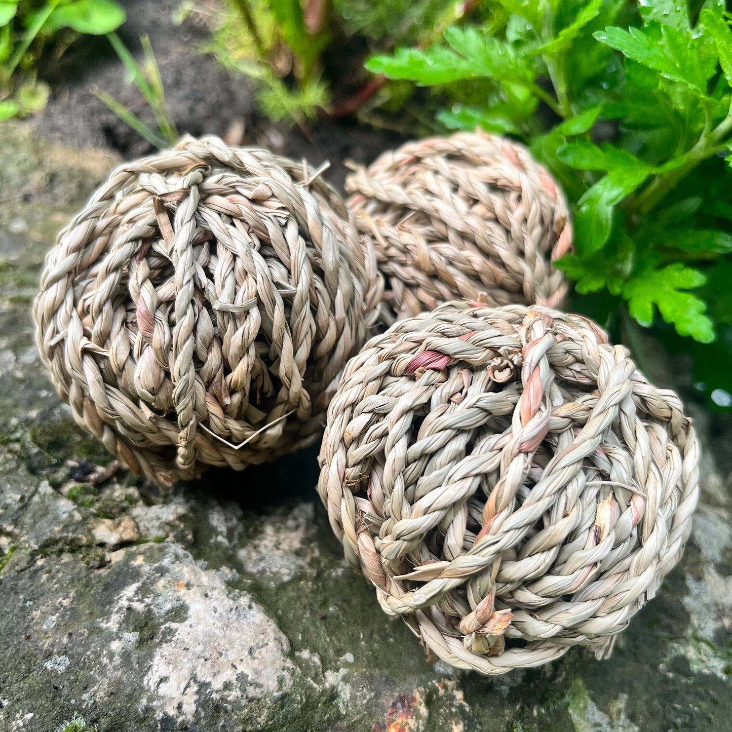 Sea Grass Chew Ball - Hippity Hop Pet Shop