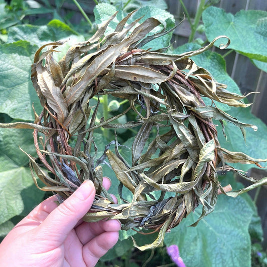 Willow Wreaths.