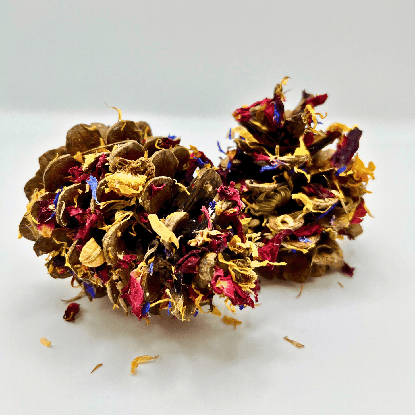Floral-Dipped Pine Cones.
