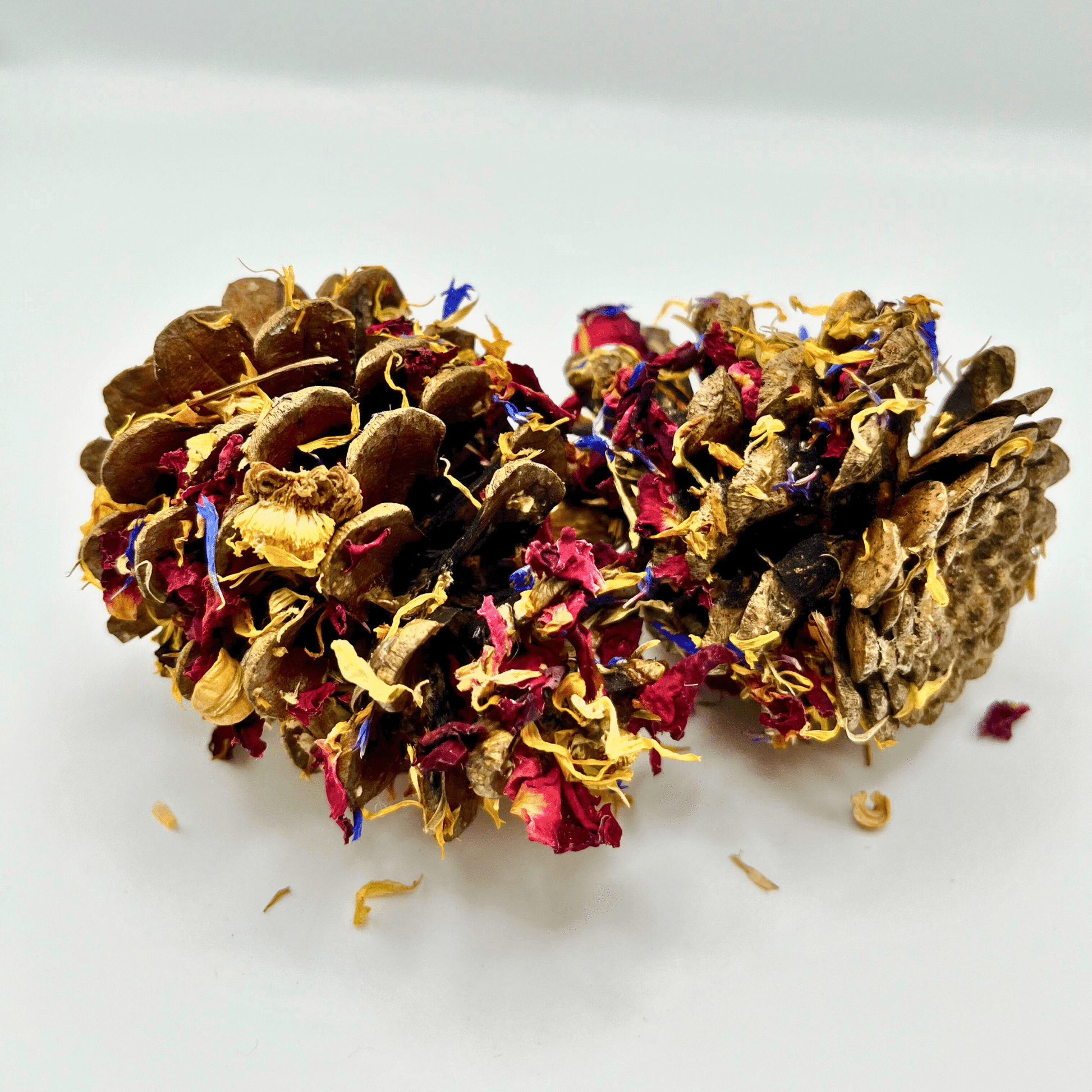 Floral-Dipped Pine Cones.